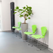 Dentista Ivrea